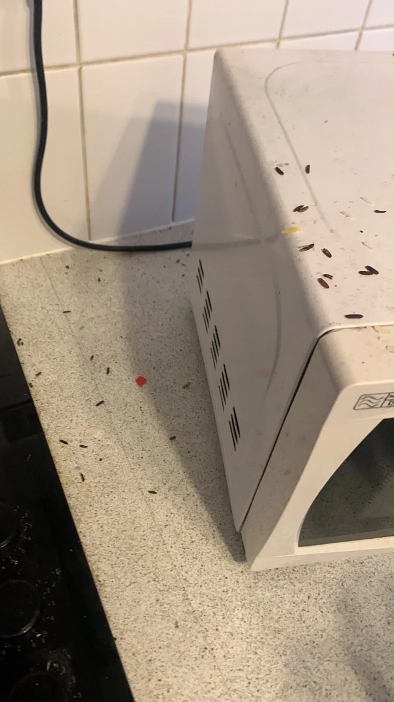 Microwave and worktop with visible debris
